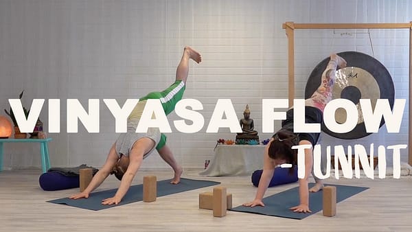 Vinyasa Flow